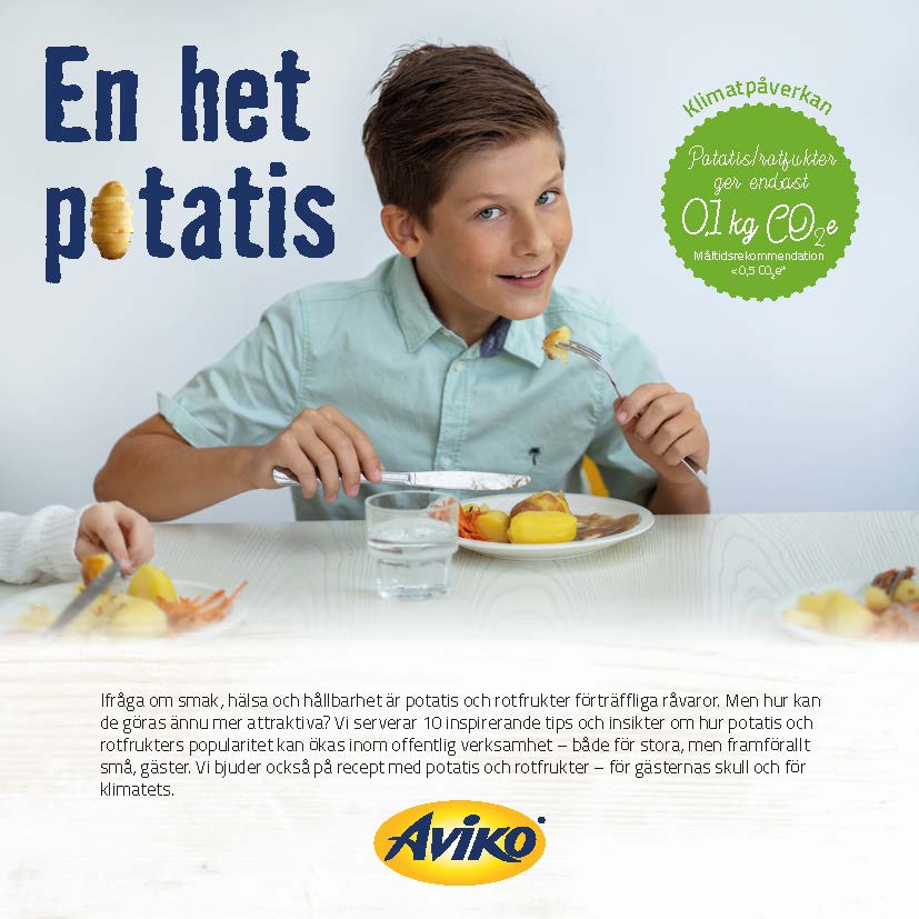 Aviko broschyr En het potatis 